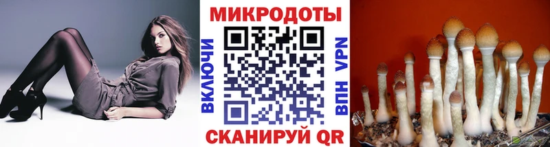 Галлюциногенные грибы Magic Shrooms  Купить  Кушва 